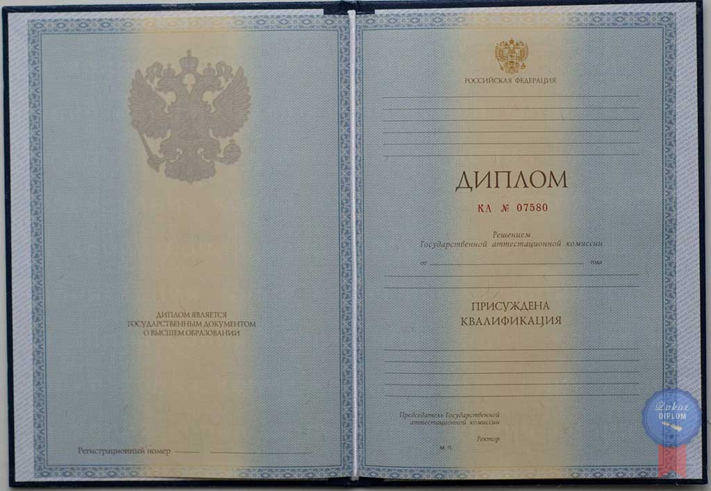 Диплом иститута 2010 — 2013 год